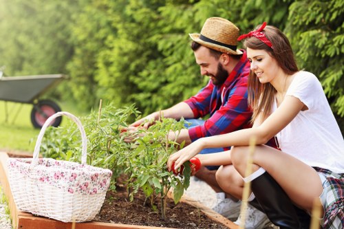 Eco-friendly garden clearance practices in Ilford