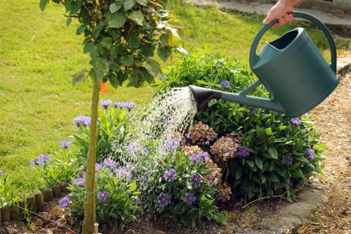 Pruned shrubs in a well-maintained Ilford garden