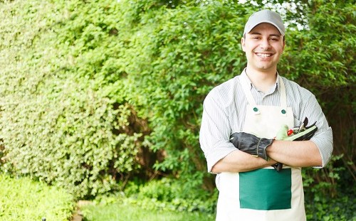 Professional lawn mower maintaining a garden in Ilford
