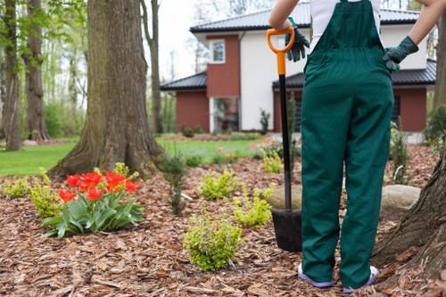 Sustainable landscaping practices in Ilford