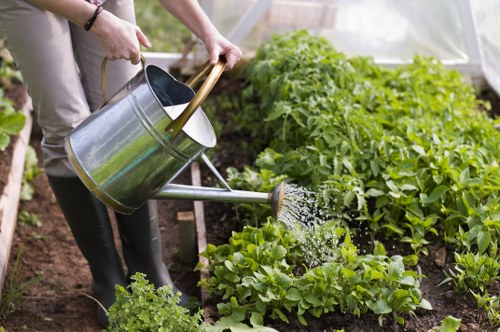 Van loaded with garden waste and cubic-yard measurement illustration