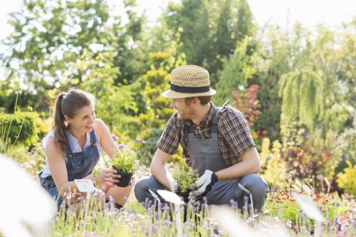 Healthy soil with compost in Ilford garden